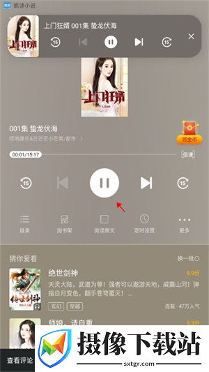 疯读小说极速版