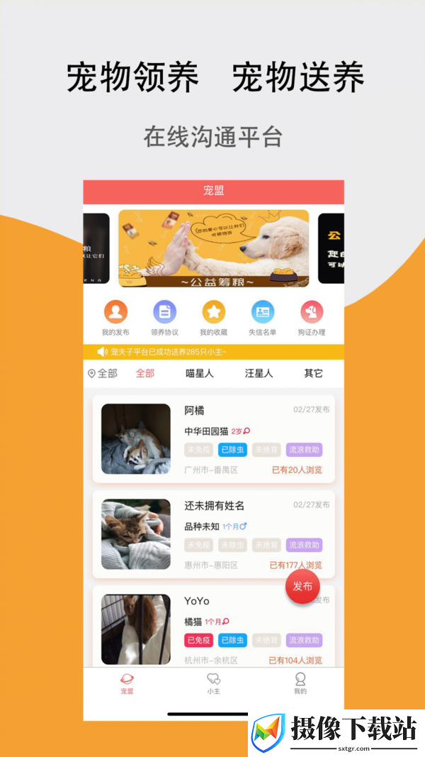 宠夫子