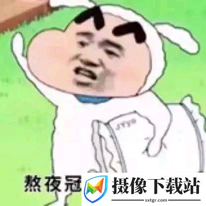 抖音我才是熬夜冠军表情包蜡笔小新截图