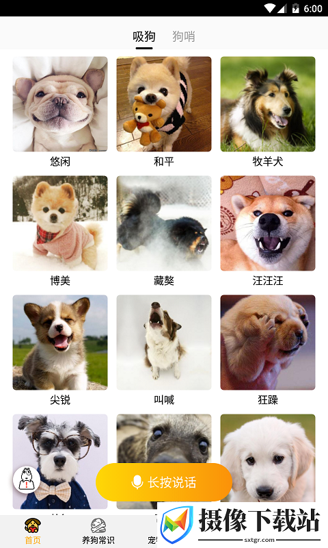 跑狗翻译截图
