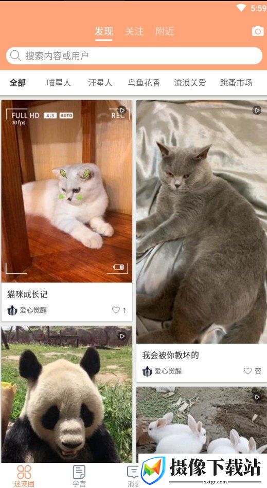 迷宠圈截图