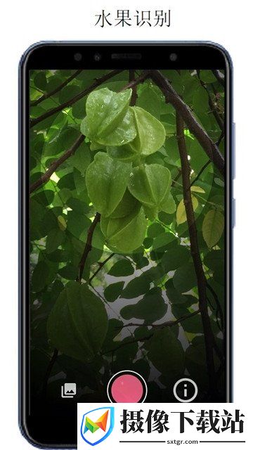 万物识别截图