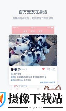 有宠app
