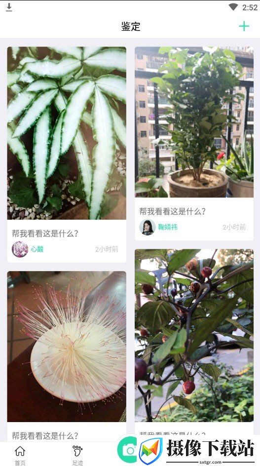 时时识物截图