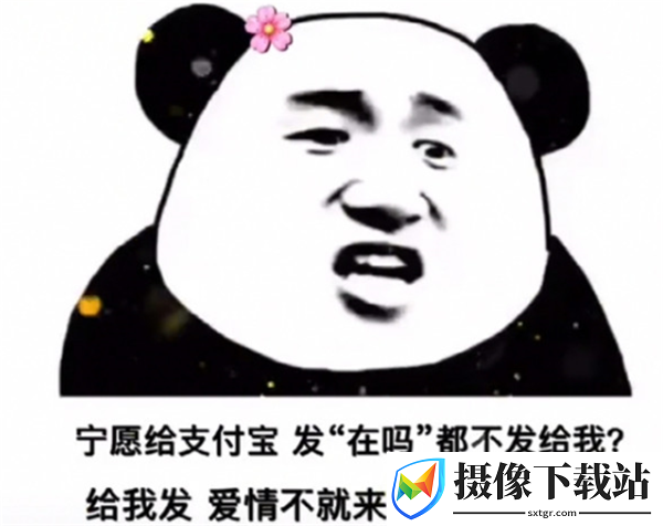 宁愿给支付宝发在吗表情包截图